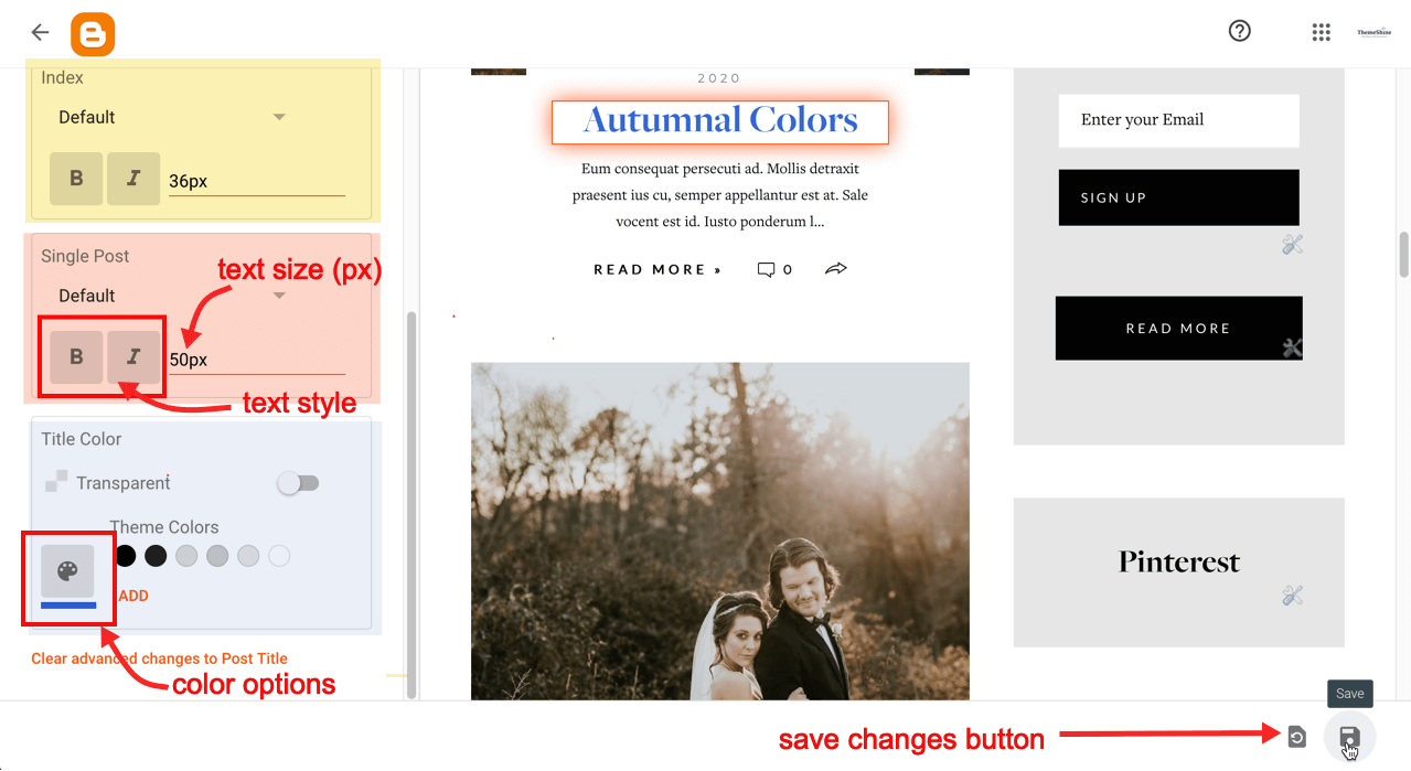 blogger theme options